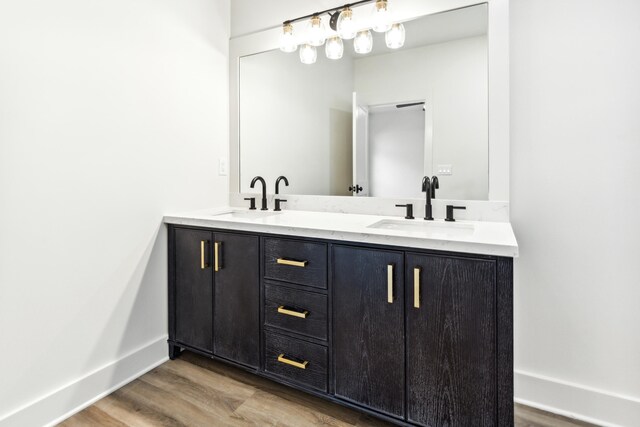 bathroom featuring wood-type flooring and vanity