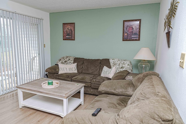 living room featuring light hardwood / wood-style flooring and a textured ceiling