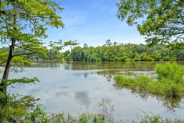 view of water feature