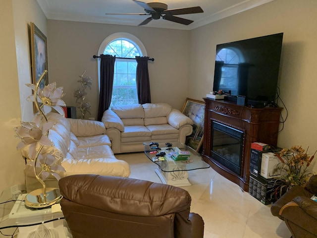 living room with ceiling fan and ornamental molding