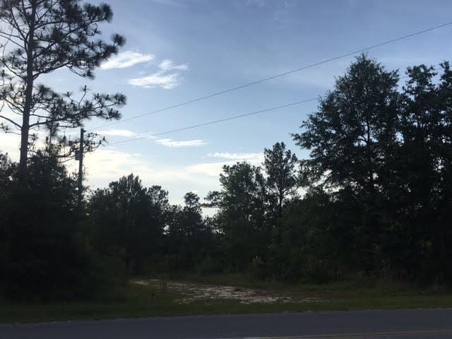 287 High Lonesome Rd, Defuniak Springs FL, 32435 land for sale