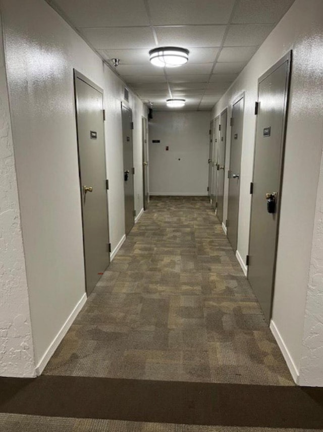 corridor with dark colored carpet, a drop ceiling, and baseboards