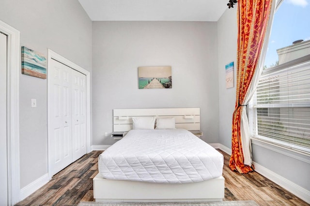 bedroom with wood-type flooring and a closet