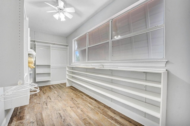 spacious closet with ceiling fan and light wood-type flooring