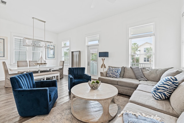 living room featuring light hardwood / wood-style flooring, a healthy amount of sunlight, and ceiling fan with notable chandelier