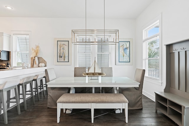 dining space featuring dark hardwood / wood-style flooring