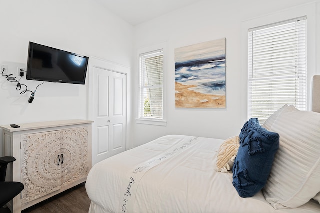 bedroom featuring dark hardwood / wood-style floors and a closet