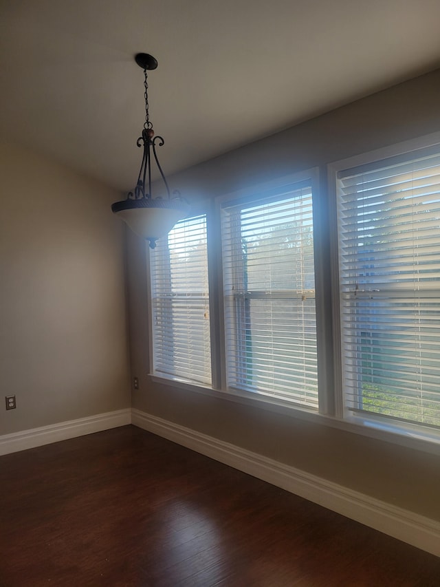 unfurnished dining area featuring a healthy amount of sunlight and wood-type flooring