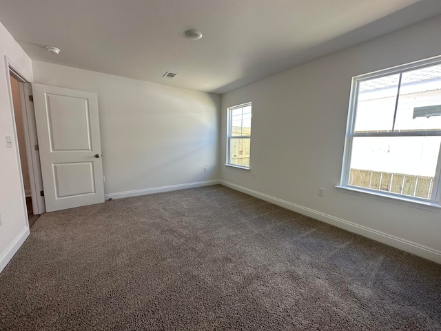 carpeted empty room featuring a wealth of natural light