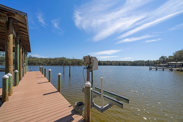 dock area with a water view