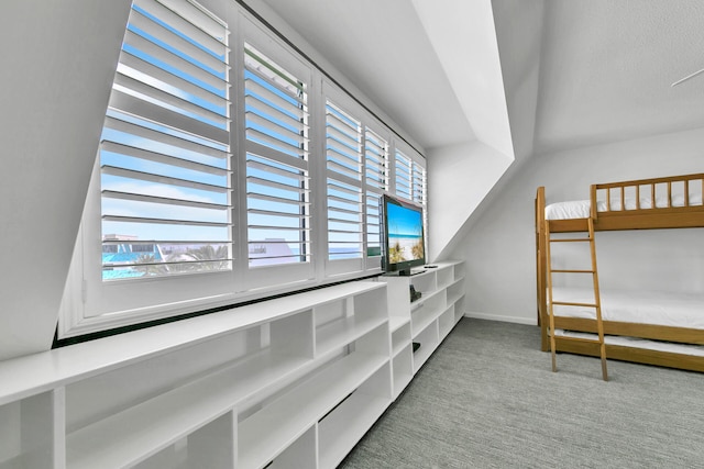 bedroom featuring multiple windows and carpet flooring