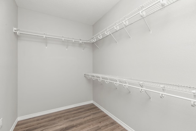 walk in closet with hardwood / wood-style floors