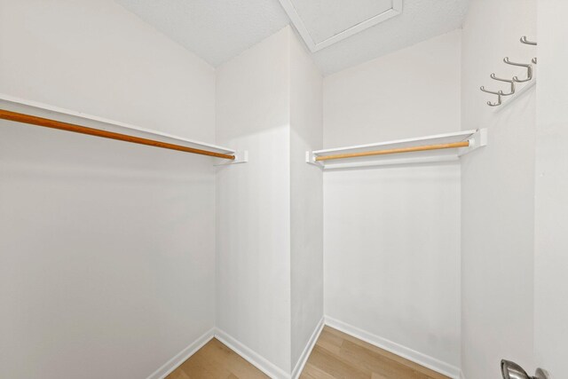 spacious closet featuring light wood-type flooring