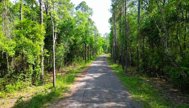 Listing photo 2 for 0000 Piney Grove Church Rd, Defuniak Springs FL 32433