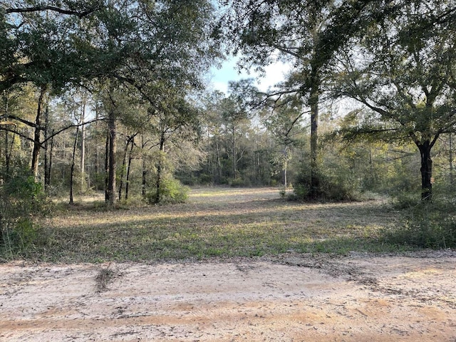 80 John Curry Rd, Defuniak Springs FL, 32435 land for sale