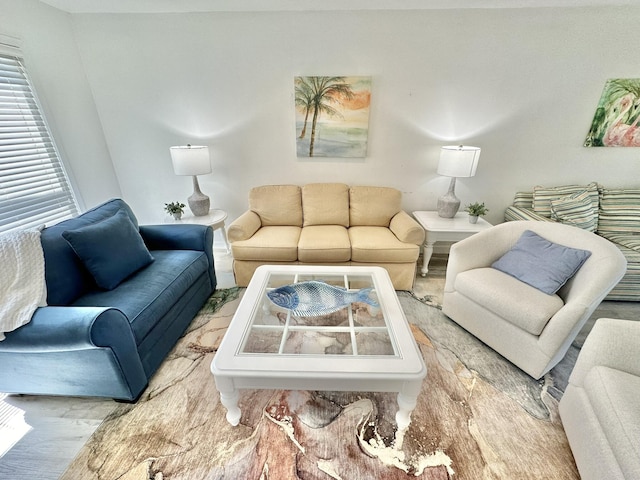 living room featuring hardwood / wood-style floors