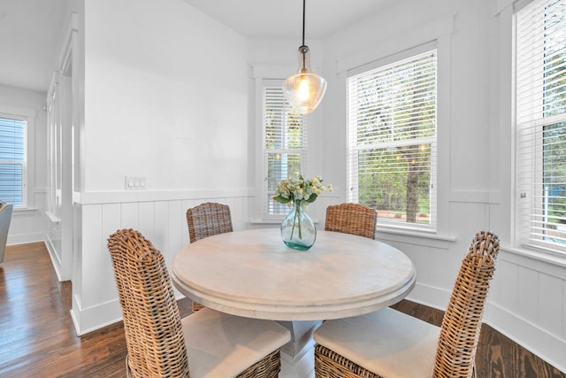 dining room with plenty of natural light and dark hardwood / wood-style flooring