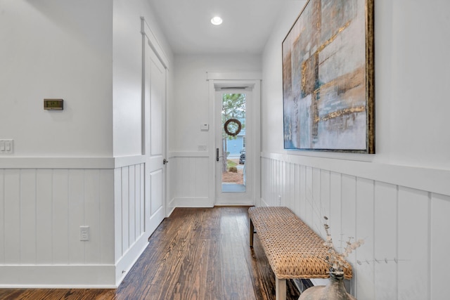 entrance foyer featuring dark wood-type flooring