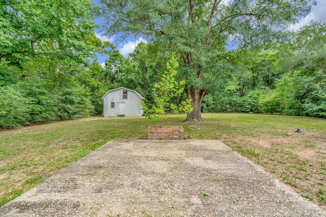 view of yard featuring a shed and a patio area