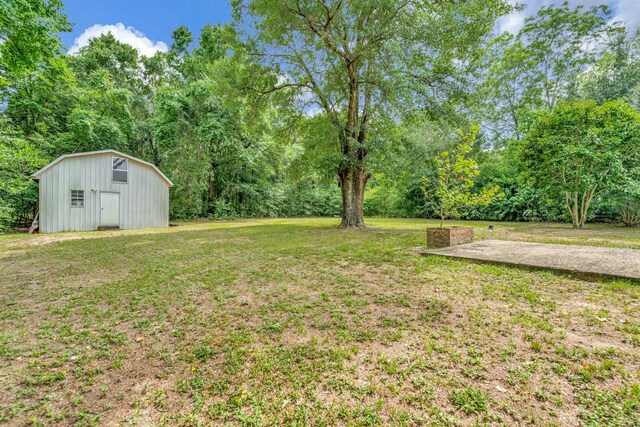 view of yard featuring a storage shed