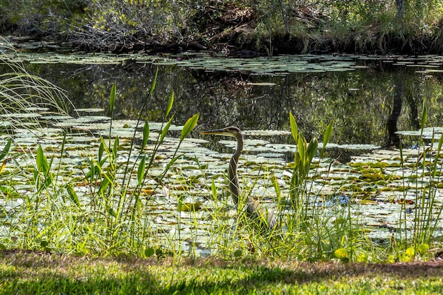 view of nature