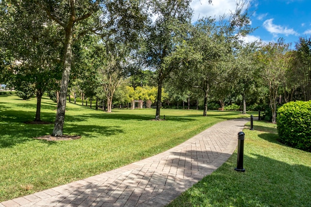 view of property's community with a yard