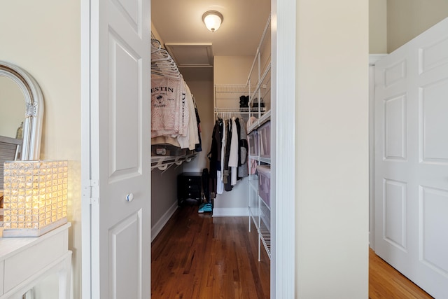 spacious closet with dark wood-type flooring