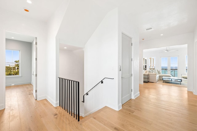 corridor featuring light hardwood / wood-style floors and a healthy amount of sunlight