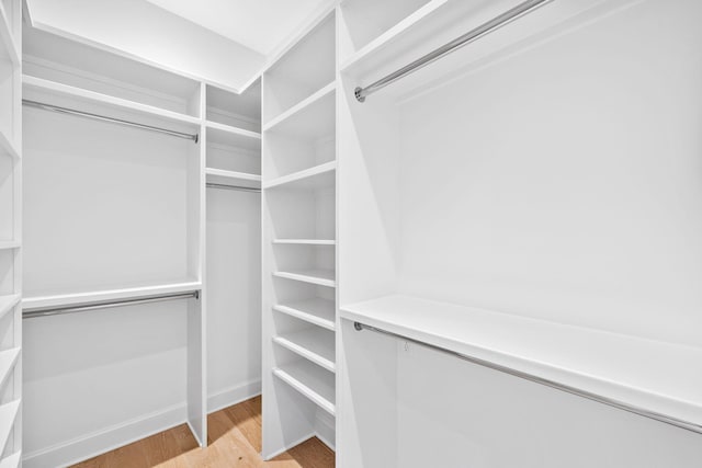 spacious closet featuring light hardwood / wood-style floors