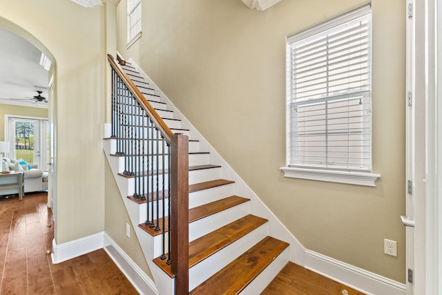 stairs featuring ornamental molding, dark wood-type flooring, and ceiling fan