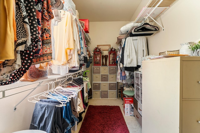 spacious closet featuring carpet