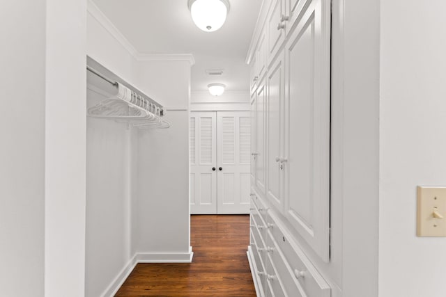 walk in closet with dark wood finished floors