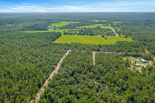 000 Gregory Dean Ln, Defuniak Springs FL, 32433 land for sale