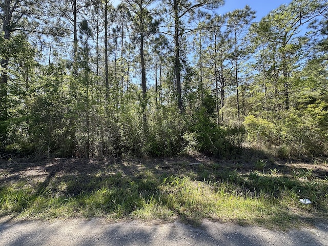 Listing photo 2 for TBD 11th St, Santa Rosa Beach FL 32459