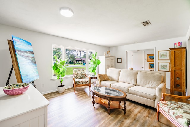 living room featuring light hardwood / wood-style flooring