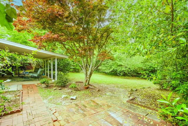 view of yard with a patio