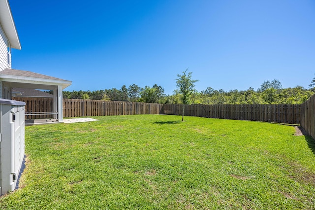 view of yard featuring a patio area