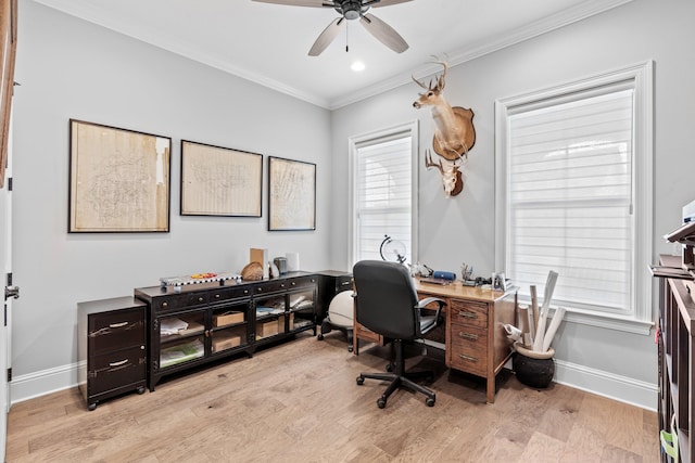 office with ceiling fan, crown molding, and light wood-type flooring