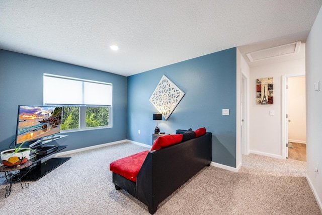 carpeted cinema room with a textured ceiling