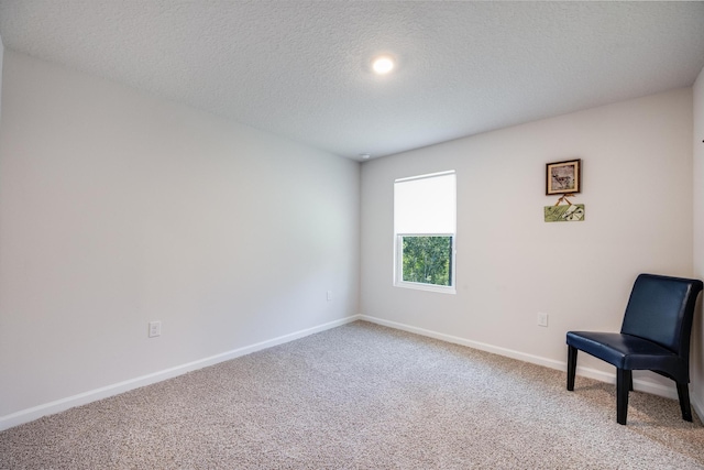 sitting room featuring carpet flooring and a textured ceiling