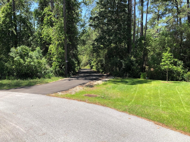 LOT17 Gulf Hills Dr, Santa Rosa Beach FL, 32459 land for sale