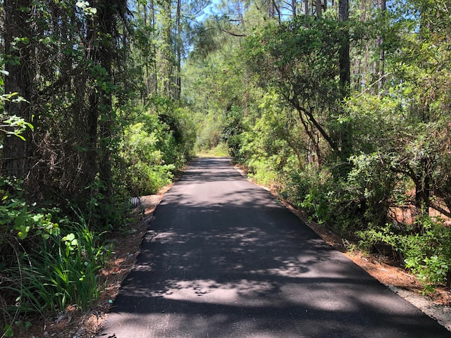 Listing photo 3 for LOT17 Gulf Hills Dr, Santa Rosa Beach FL 32459