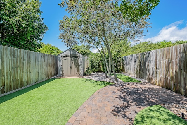 view of yard with a patio and a storage unit