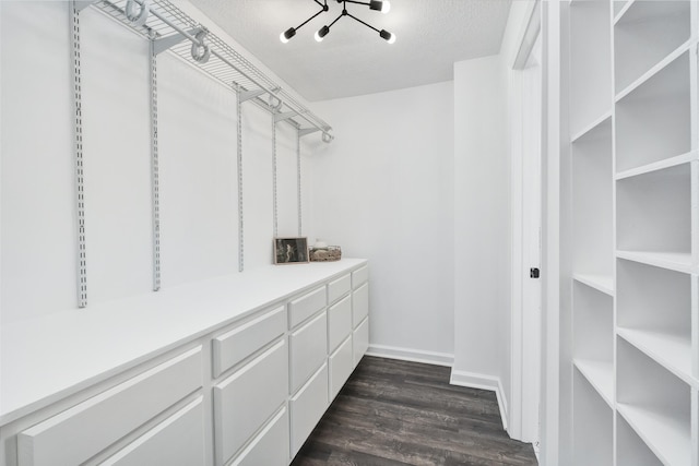 spacious closet with dark hardwood / wood-style floors