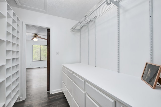 spacious closet with ceiling fan and dark wood-type flooring