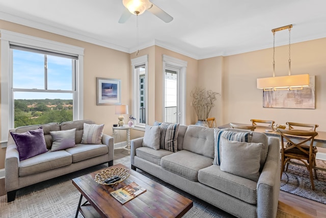 living room featuring crown molding, wood-type flooring, and ceiling fan