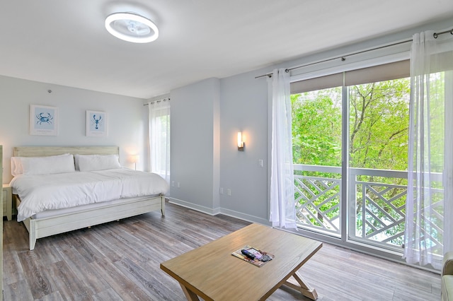 bedroom with hardwood / wood-style floors