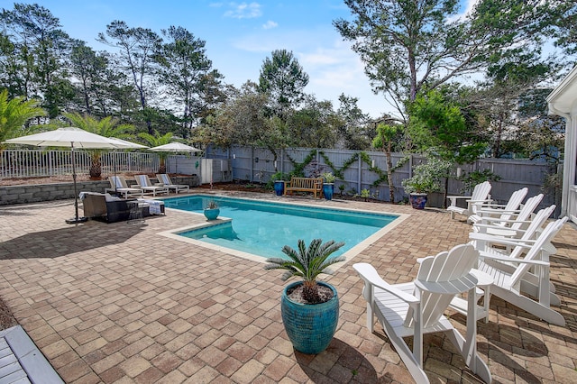 view of swimming pool with a patio