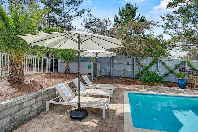 view of pool featuring a patio