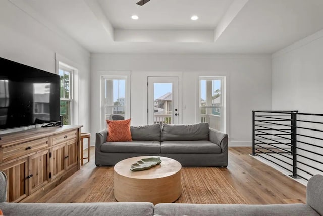 living room featuring plenty of natural light, light hardwood / wood-style floors, and a raised ceiling